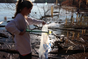 University of Alabama students volunteer at the annual cleaning of Lake Tuscaloosa. (Kelsey Farman| Mosaic Magazine)